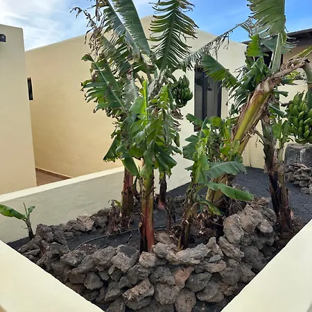 Vila Luxury Canarian With Large Pool And Teguise (Lanzarote)